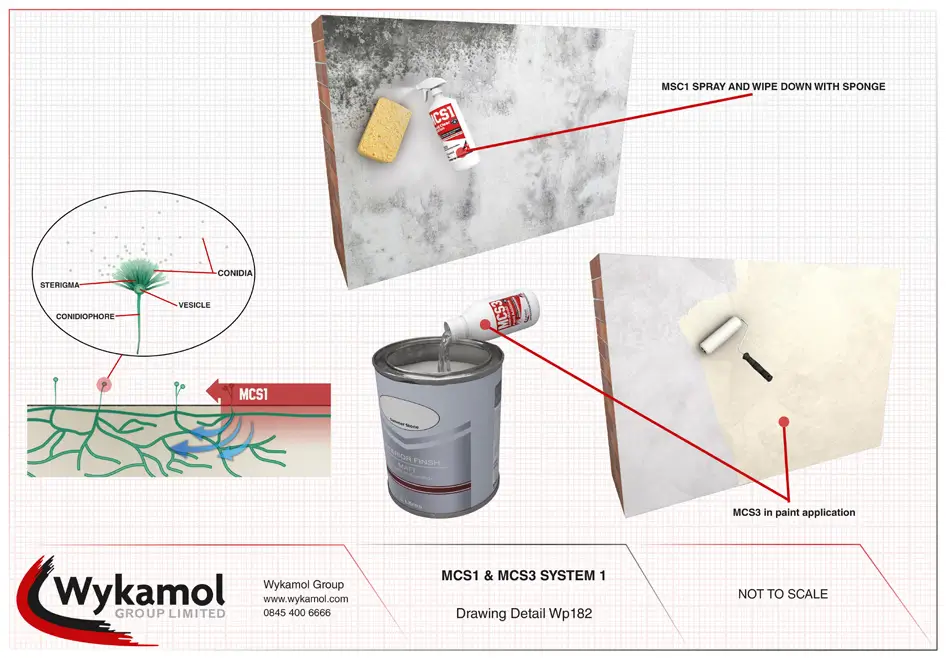 Black Mould Treatment System 1: Treating Small or Early Black Mould Outbreaks